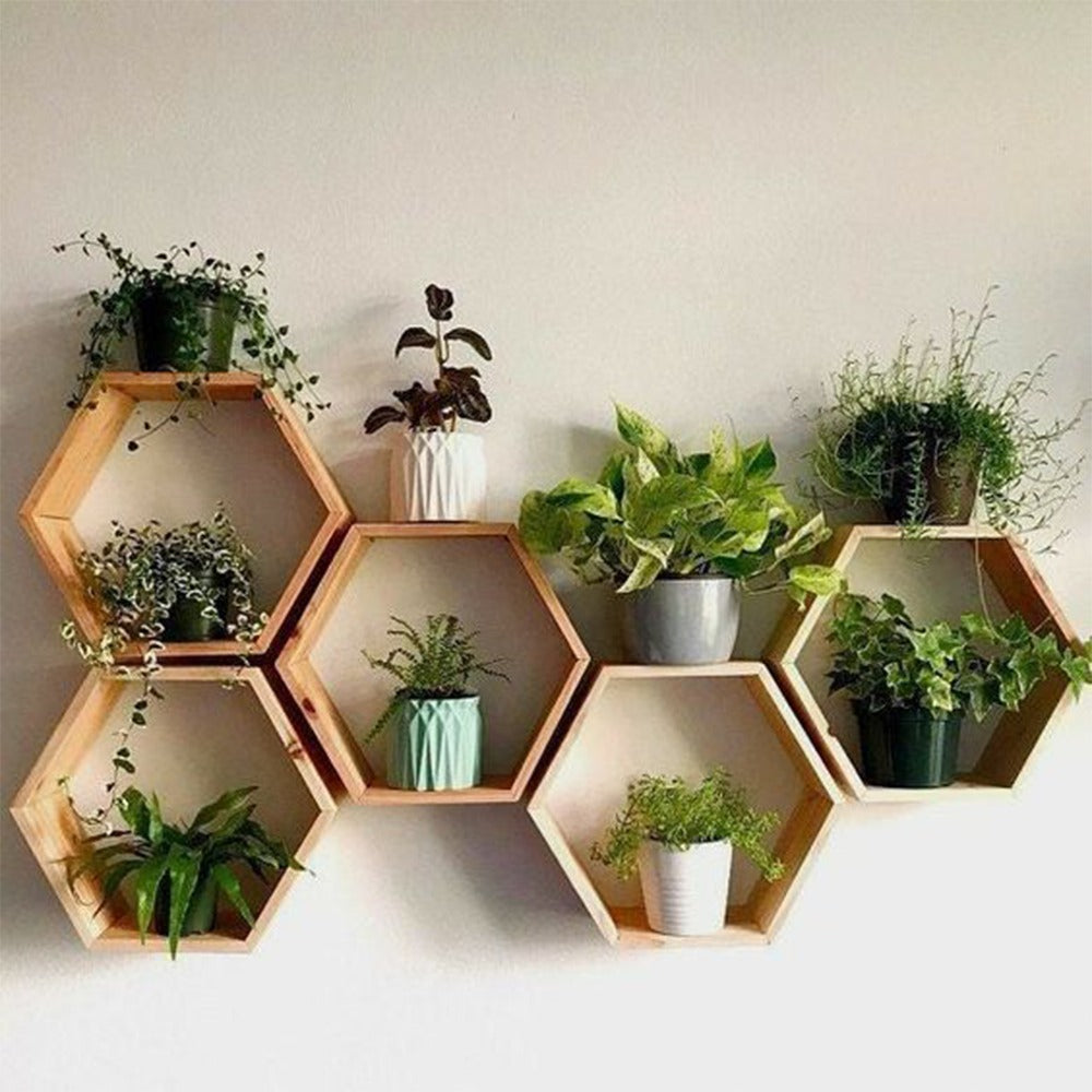Honey Comb Wood Wall Decor